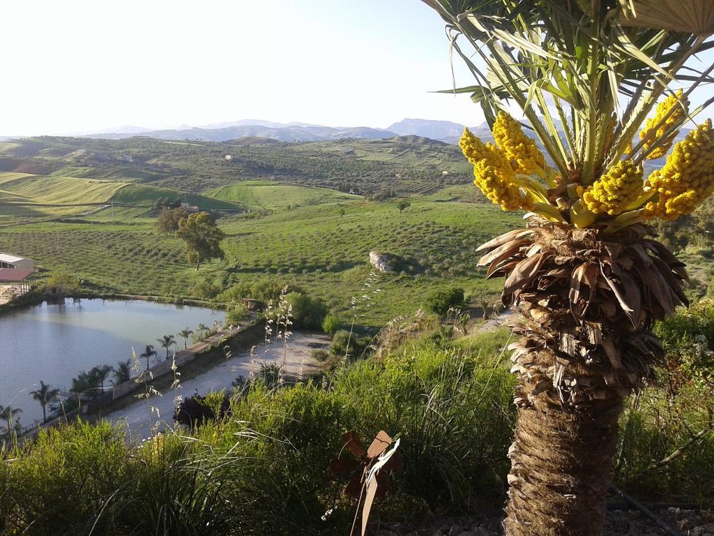 Farm stay Ciuci's Manor
