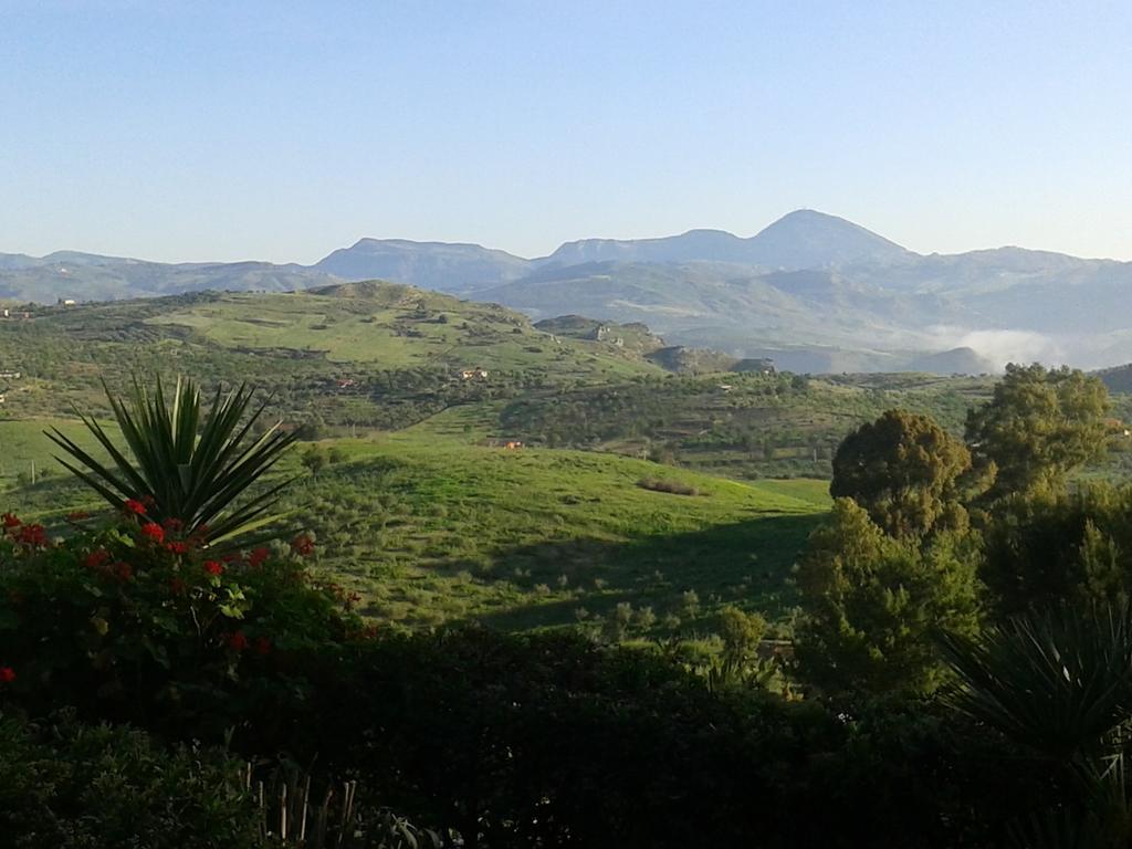 Farm stay Ciuci's Manor
