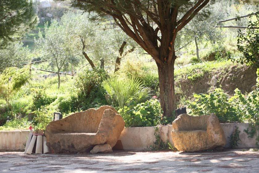Ciuci's Manor