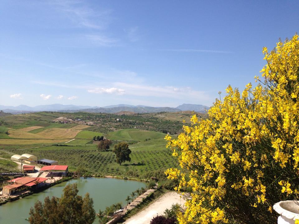 Ciuci's Manor * Aragona