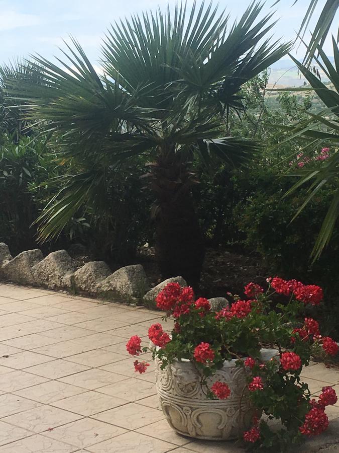 Farm stay Ciuci's Manor Aragona