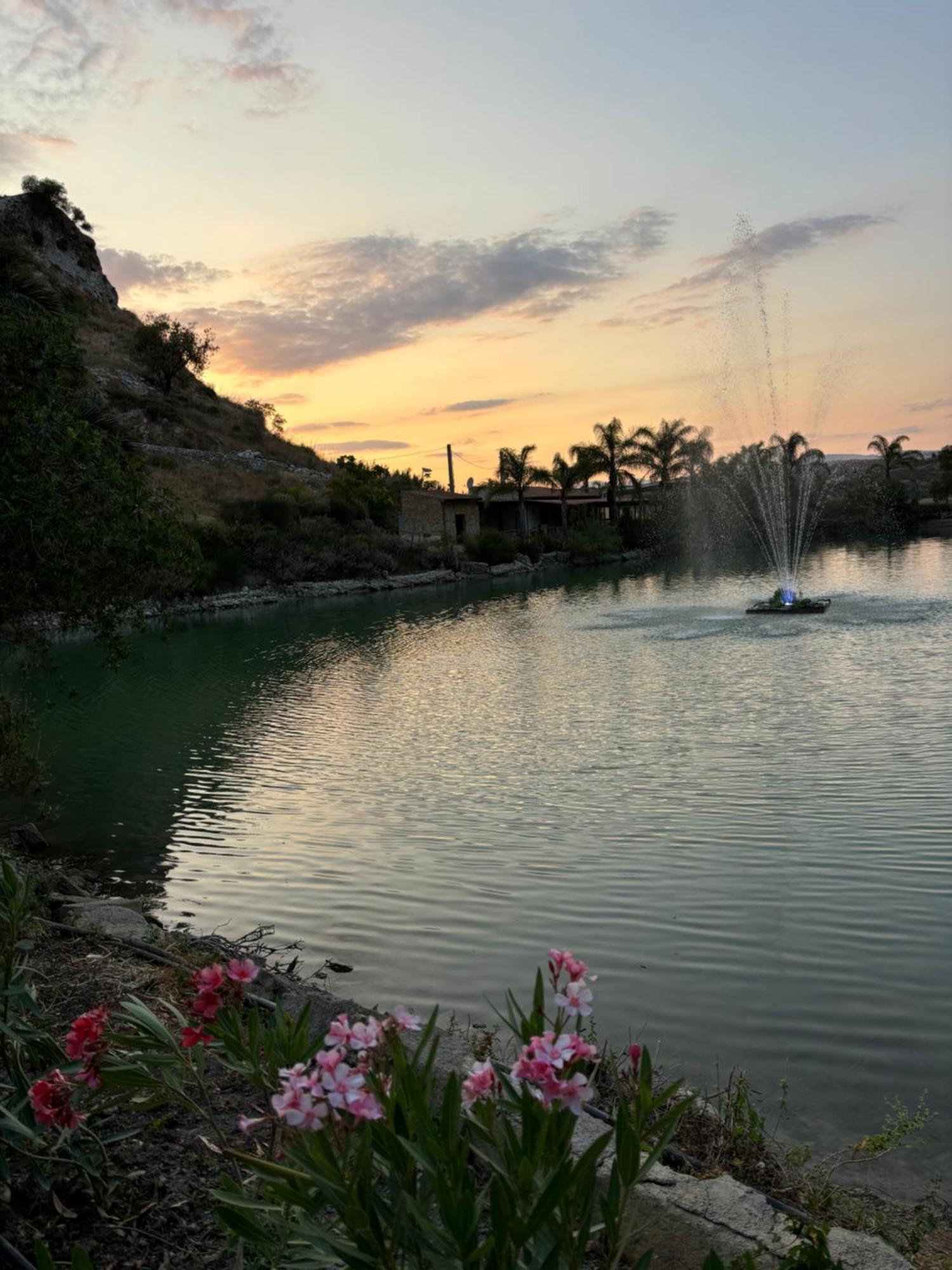 Farm stay Ciuci's Manor Aragona