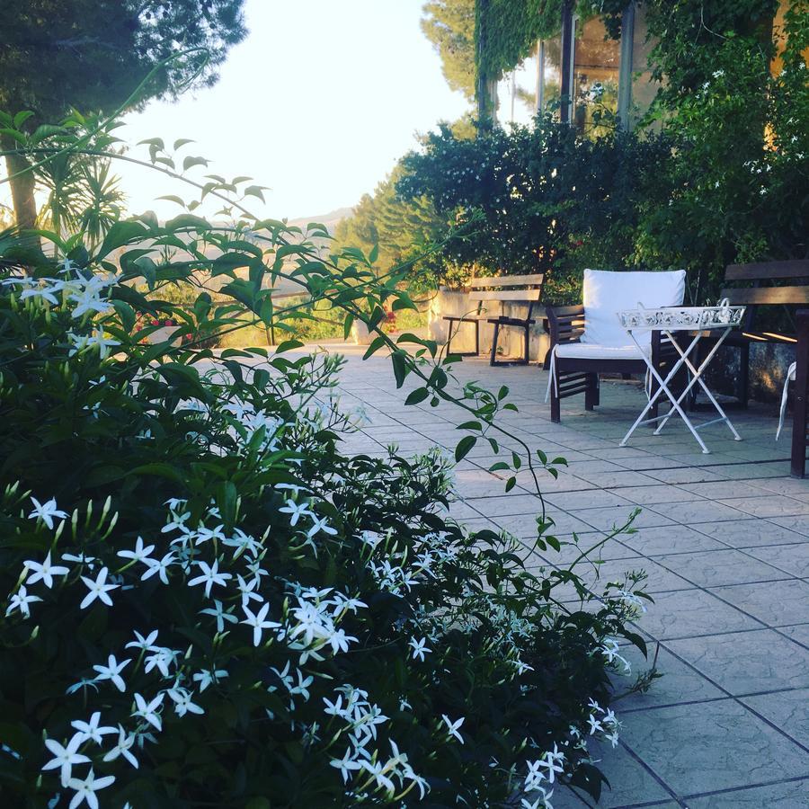 Ciuci's Manor Alloggio per agriturismo